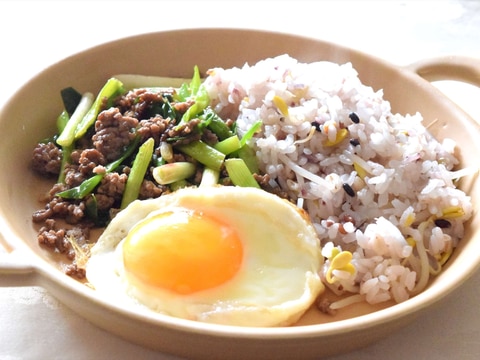 雑穀もやしご飯　ガバオライス風